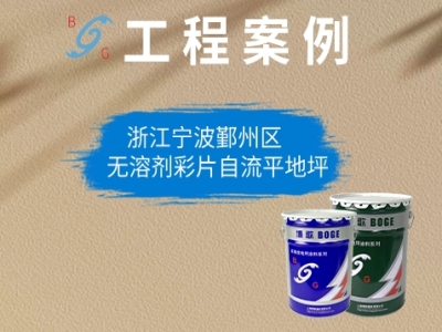 浙江寧波鄞州區(qū)無溶劑彩片自流平地坪