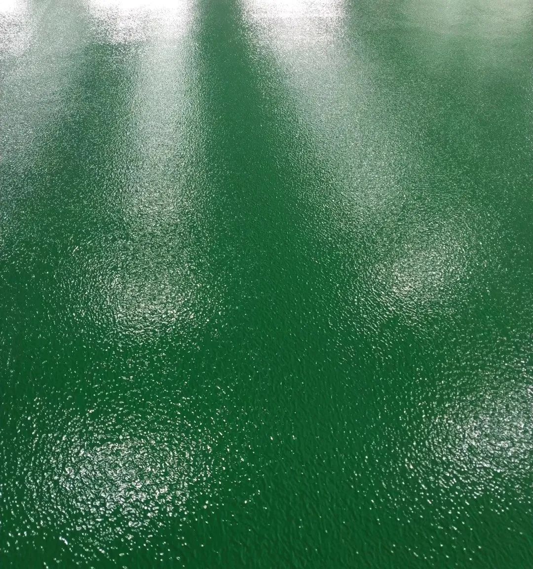 微信圖片_20230616083559