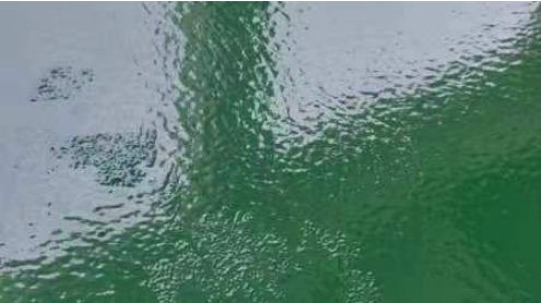 面涂起皺 面涂起皺