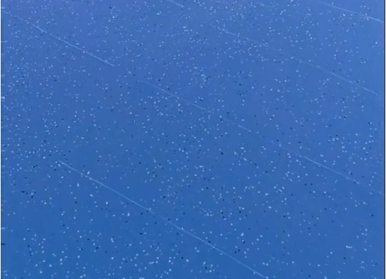 微信截圖_20250411140206 微信截圖_20250411140206