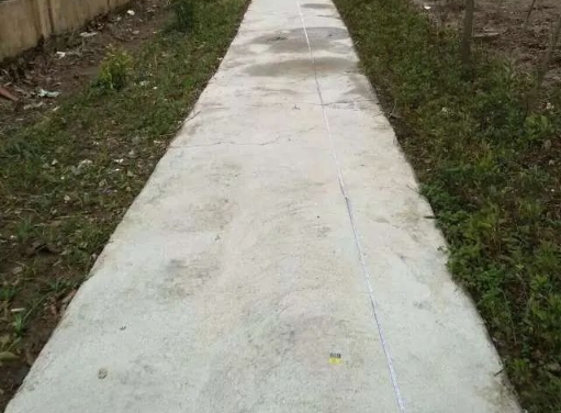 微信截圖_20250519092528