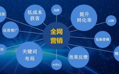 SEO优化师如何提升网站的关键词排名