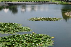 博歌，我們相聚在六月