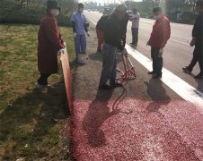 我司浙江人文園林股份灞橋彩色路面項(xiàng)目進(jìn)場施