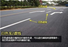 馬路上的黃白線，你真正知道的有多少？這里讓